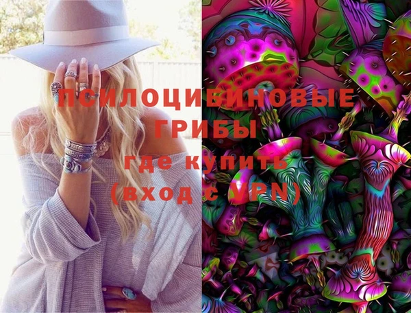 прущий лед Горняк