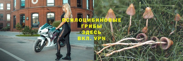 прущий лед Горняк