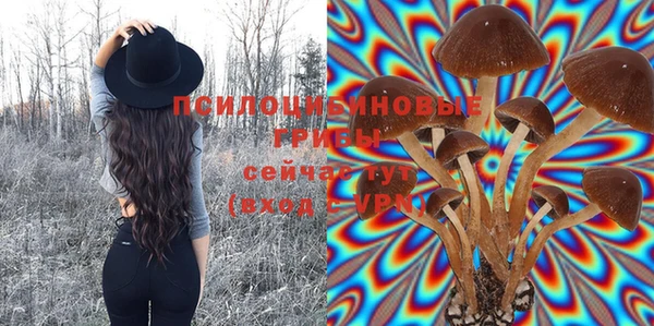ГАЛЛЮЦИНОГЕННЫЕ ГРИБЫ Семилуки
